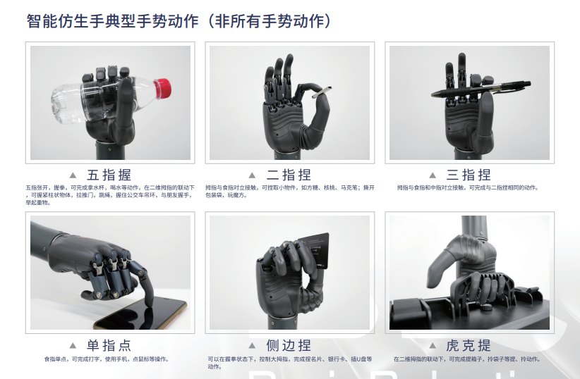 WPS图片(1).png
