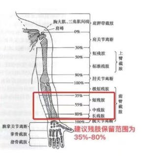 WPS图片(3).png
